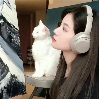 跳舞的红色公交